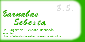 barnabas sebesta business card